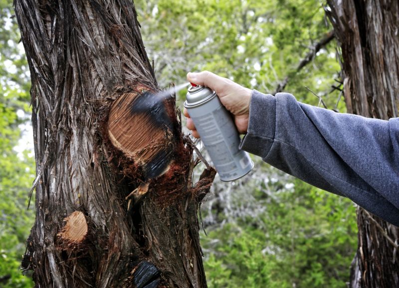 Birch Tree Pruning in Pottstown, PA