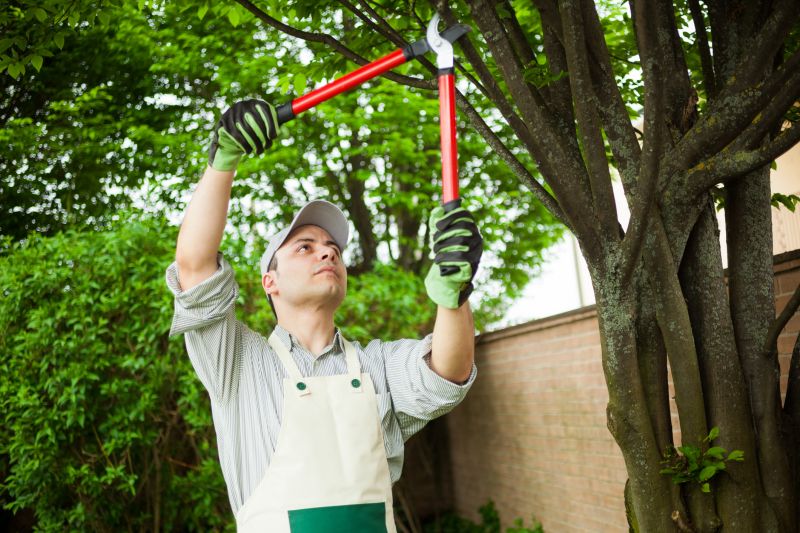 Orchard Tree Pruning in Doylestown, PA